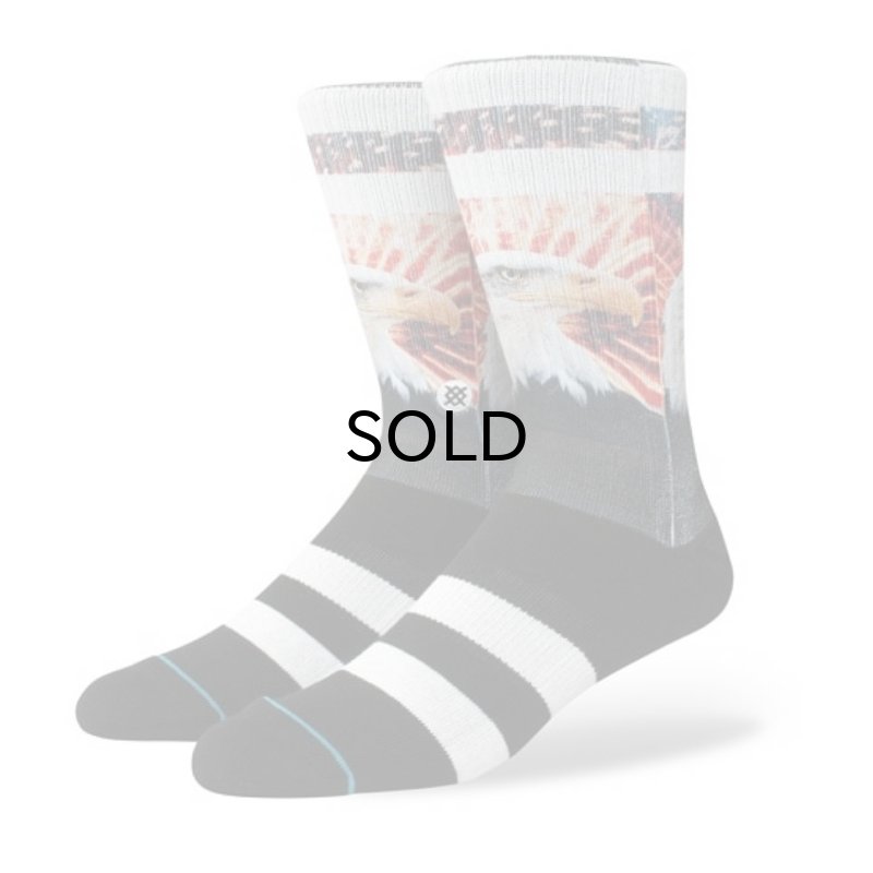 画像1: STANCE(スタンス） DEFENDER (メンズ） (1)