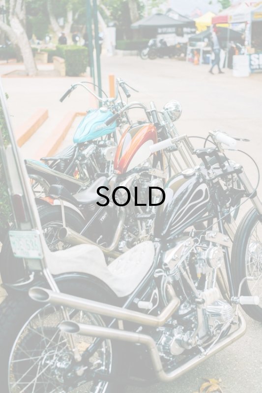 画像14: DicE MAGAZINE(ダイスマガジン）Born Free 10 Book(ボーンフリー10・ブック) (14)