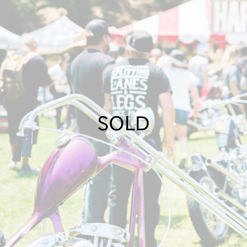 画像3: DicE MAGAZINE(ダイスマガジン）Born Free 10 Book(ボーンフリー10・ブック) (3)