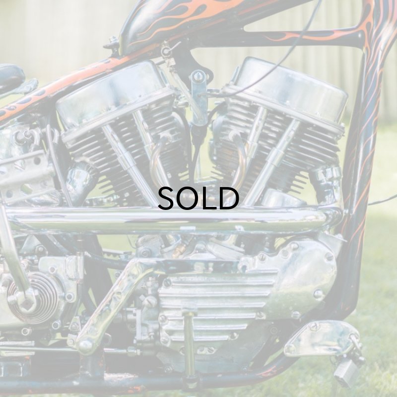 画像5: DicE MAGAZINE(ダイスマガジン）Born Free 10 Book(ボーンフリー10・ブック) (5)