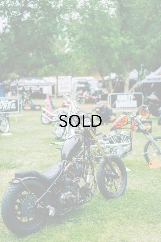 画像11: DicE MAGAZINE(ダイスマガジン）Born Free 10 Book(ボーンフリー10・ブック) (11)