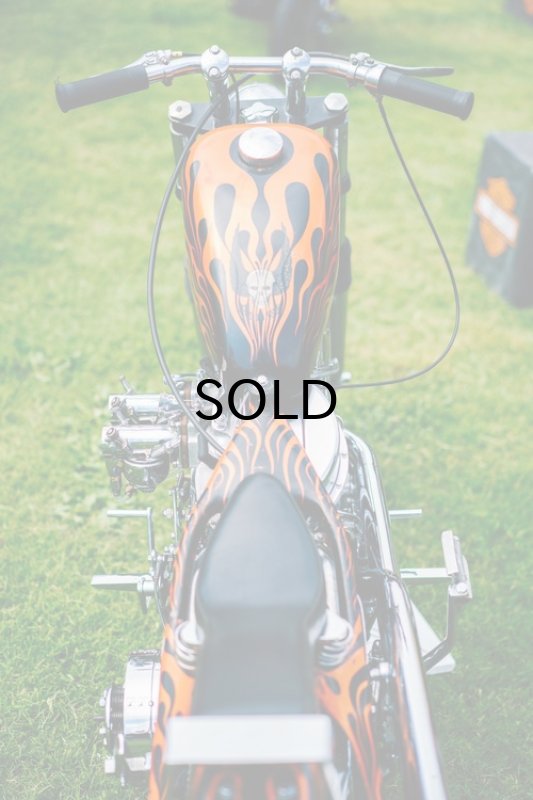 画像9: DicE MAGAZINE(ダイスマガジン）Born Free 10 Book(ボーンフリー10・ブック) (9)