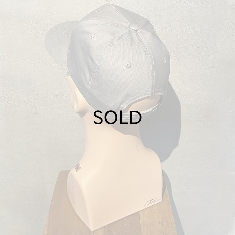 画像3: DOG TOWN(ドッグタウン）MESH FLIP CAP/CROSS グレー (3)