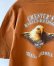 画像4: 【USED】Harley-Davidson （ハーレーダビッドソン ） ショートスリーブ・Tシャツ "Mesa Arizona" サイズXL MADE IN USA. (4)