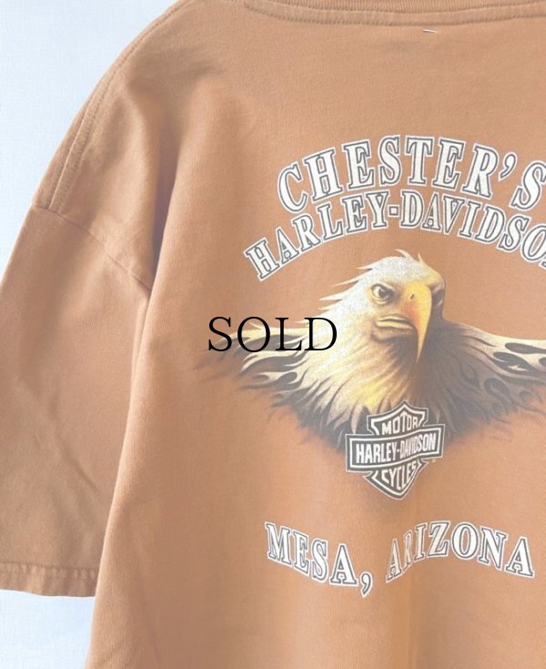 画像4: 【USED】Harley-Davidson （ハーレーダビッドソン ） ショートスリーブ・Tシャツ "Mesa Arizona" サイズXL MADE IN USA.