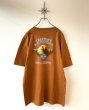 画像2: 【USED】Harley-Davidson （ハーレーダビッドソン ） ショートスリーブ・Tシャツ "Mesa Arizona" サイズXL MADE IN USA. (2)