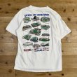 画像1: Vintage/Used 93s Ballparks of the American League S/S T-shirt (Single stitch) (1)